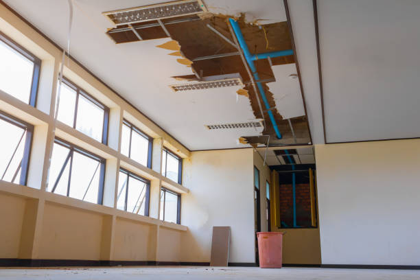 Best Professional water damage repair  in Potomac Mills, VA