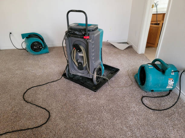  Potomac Mills, VA Water damage restoration Pros
