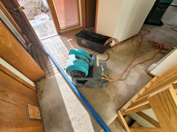 Best Flood restoration services  in Potomac Mills, VA