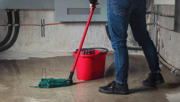 Best 24/7 water damage repair  in Potomac Mills, VA