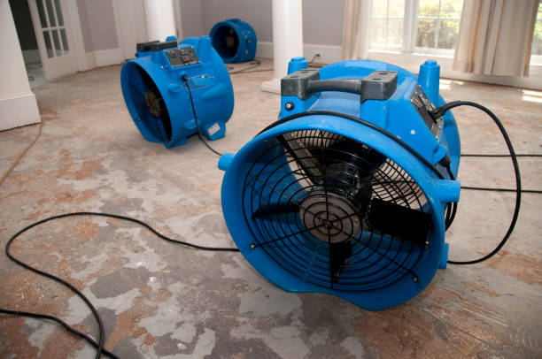 Best Flood damage cleanup  in Potomac Mills, VA