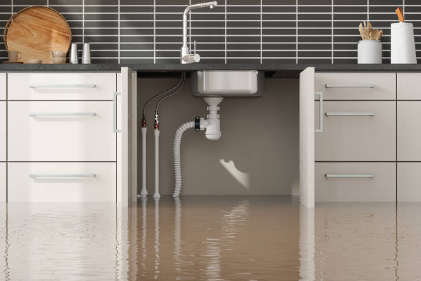 Best 24/7 water damage repair  in Potomac Mills, VA