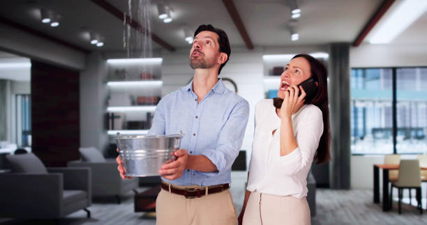 Best Flooded house restoration  in Potomac Mills, VA