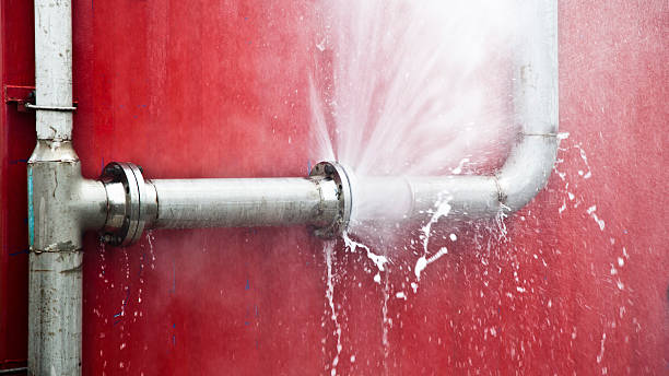 Best Professional water damage repair  in Potomac Mills, VA